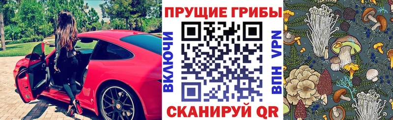 Галлюциногенные грибы мухоморы Судак